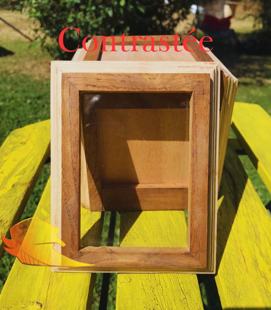 Cadre stylisé pour carte.